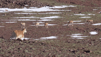 1757404821885307.png 图片2.png